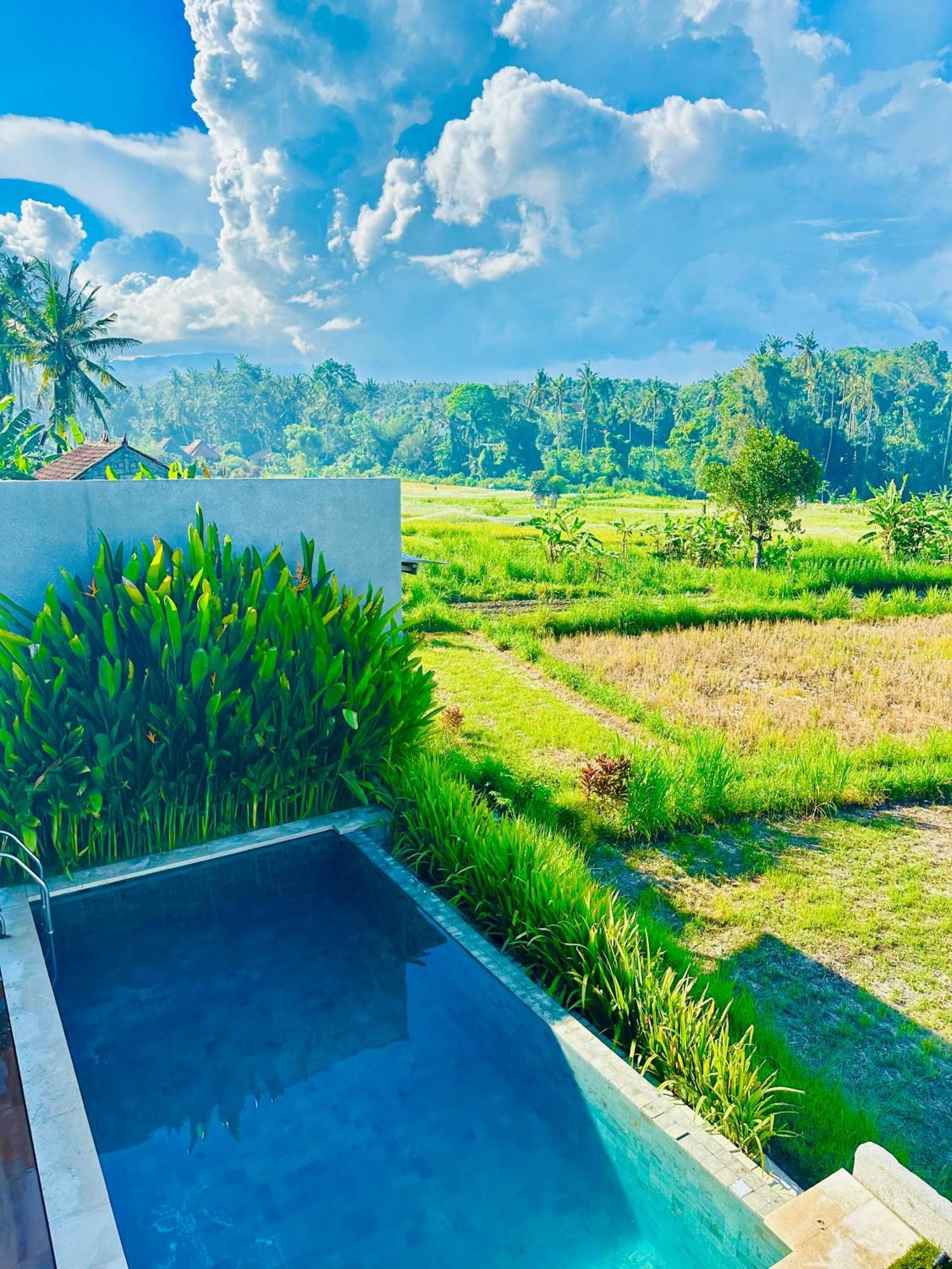 Balisen Luxury Villas Jasri エクステリア 写真